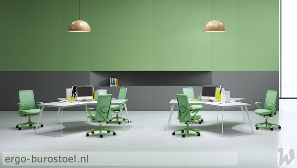 GoodTone Poly Kleur