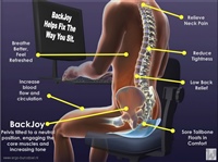 01B Backjoy PosturePlus