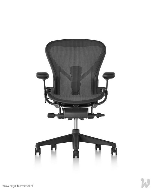 Aeron Graphite [Herman Miller]