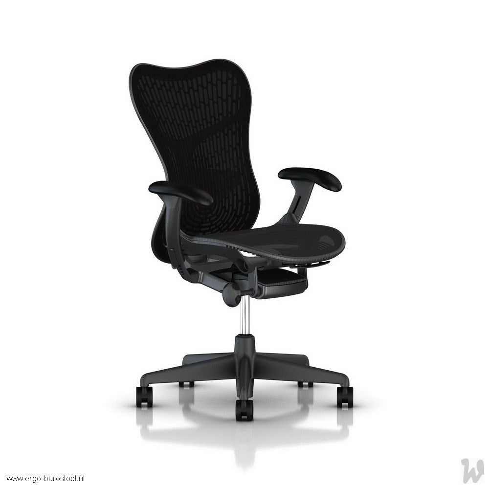 Mirra 2 Butterfly Graphite [Herman Miller]