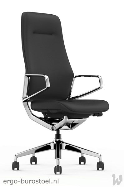 Arico hoge rug [GoodTone]